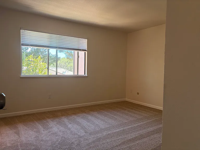 10 Clay Ct #10 — Photo 15