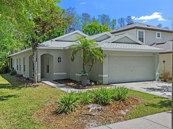 7816 Citrus Blossom Dr, Land O Lakes, FL 34637