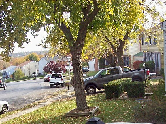 Fall day on Andover Ln, Great views of the Frederick Keys Fireworks 