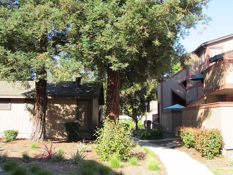 Hackamore Cmn — Photo 1