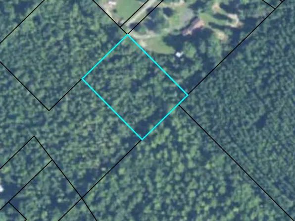 0 E Walnut St, Mc Rae Helena, GA 31055