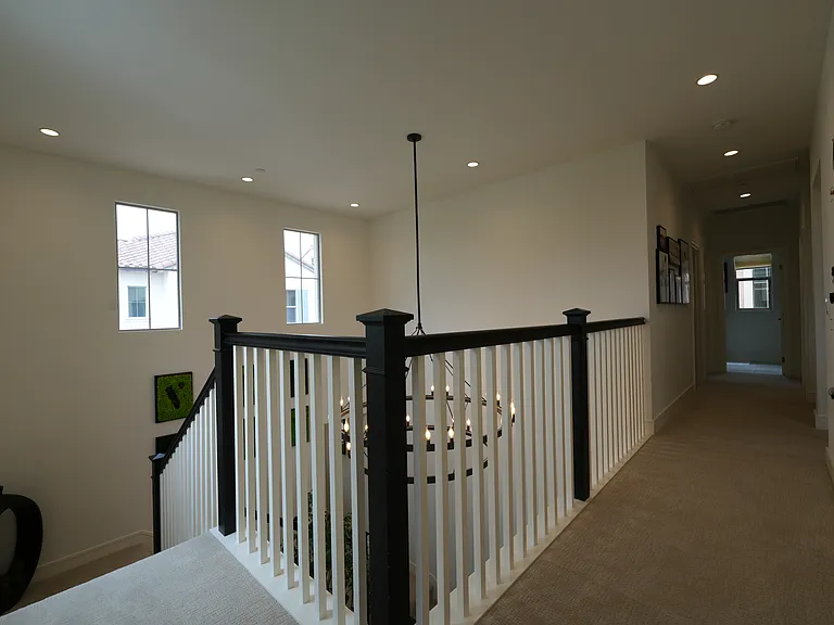 145 Plum Lily — Photo 10