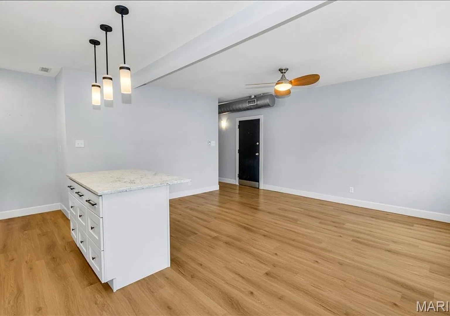4228 McPherson Avenue #L114 | Saint Louis 63108 — Photo 3