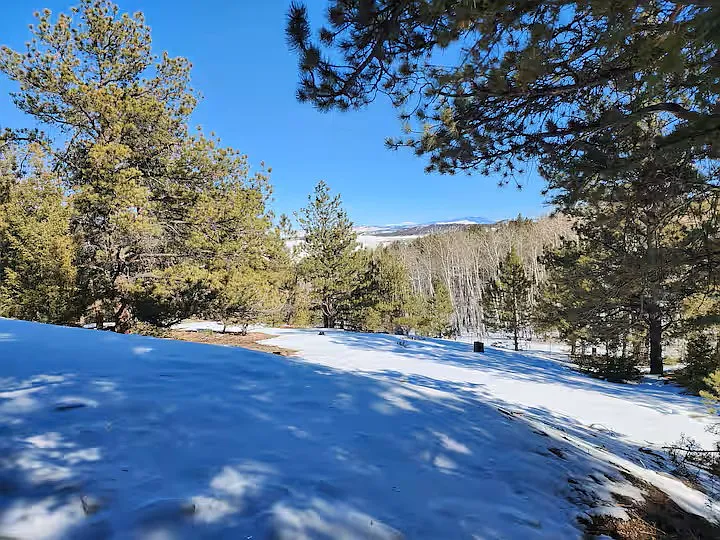 1173 Bellows Rd — Photo 15