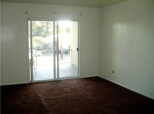 5th image of 113-111 Pine Dr #109