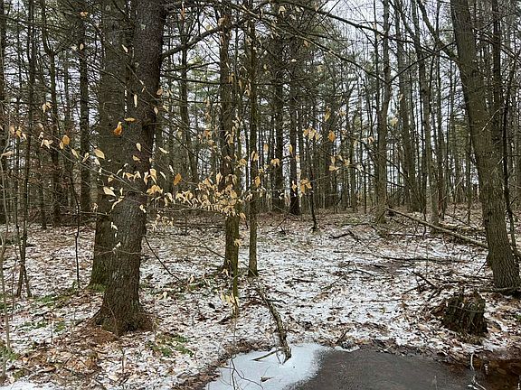 2nd image of 13 Whitaker Rd