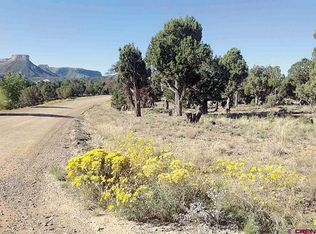 9683 Road 35, Mancos, CO 81328