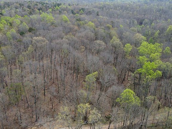 4th image of Carpenter Rd