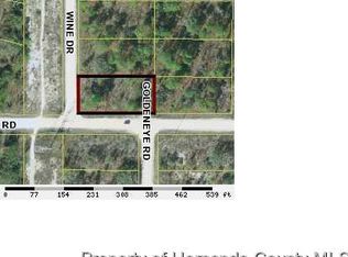 15202 Wine Dr, Weeki Wachee, FL 34614