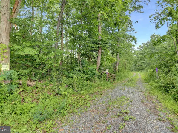 0 Buck Valley Rd, Warfordsburg, PA 17267