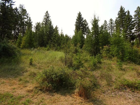 4th image of 186 Tamarack Woods Dr