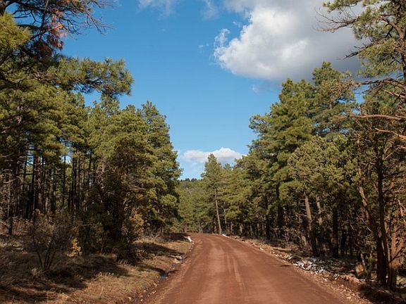 4th image of Ponderosa Paradise