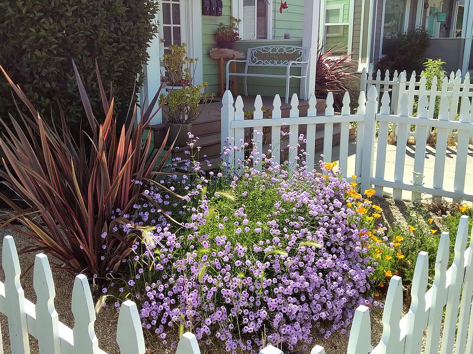 Front yard on sunny day!