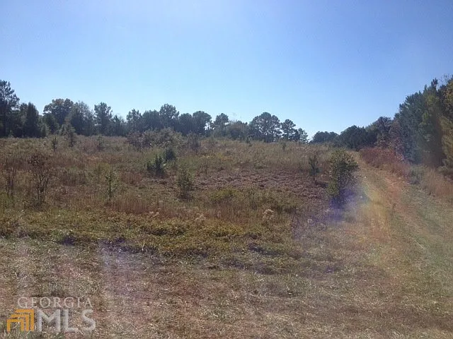 5645 Georgia Highway 20 photo 1