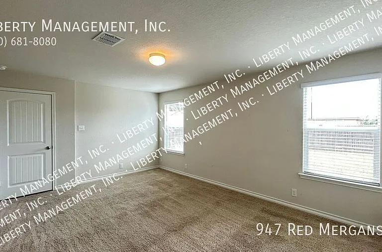 947 Red Merganser — Photo 27