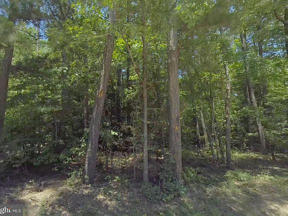 5th image of 6 Dillard Rd