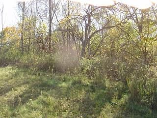 1st image of 105 Redstone Ct