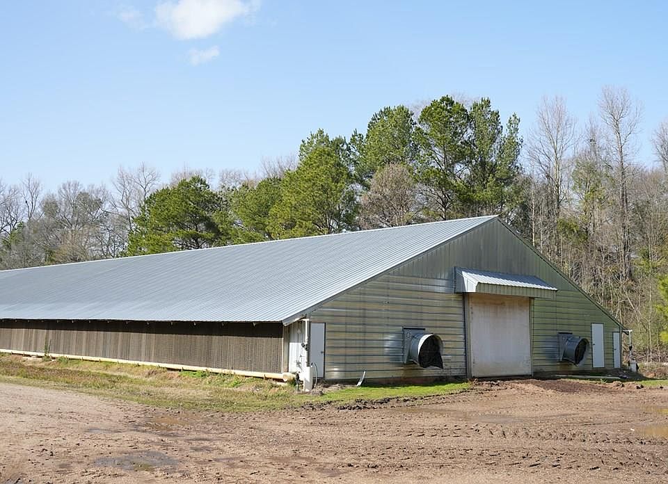 Scr 30, Mize, MS 39116 MLS 140640 Zillow