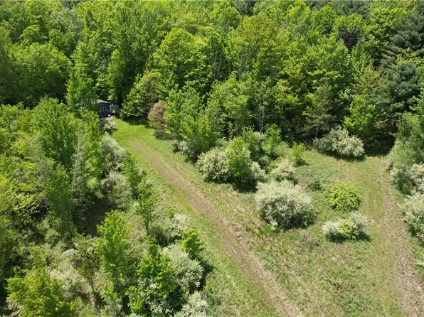 Mallory Rd #1, Chemung, NY 14825