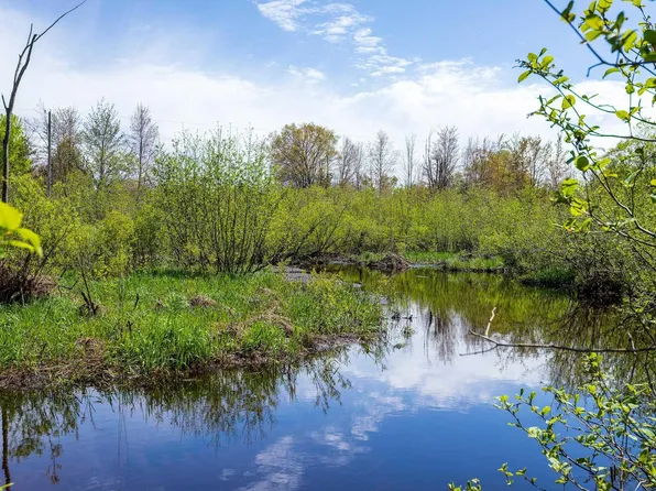 0 Makinen Rd, Kaleva, MI 49645