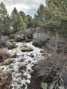 1825 Empire Rd, Reno, NV, 89521