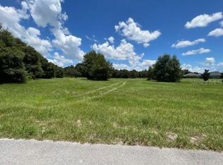 18340 Great Blue Heron Dr, Groveland, FL 34736