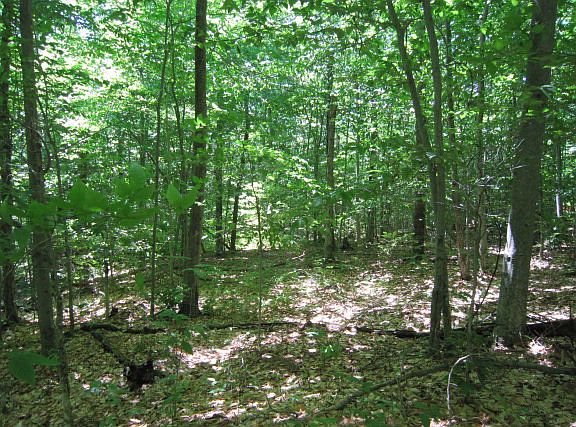 5th image of 4240 State Route 28