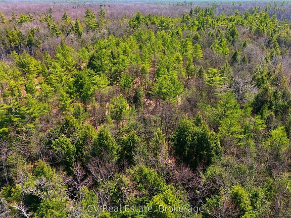 5th image of 1673 Muskoka Rd #38