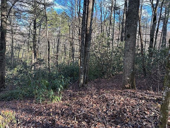 5th image of Lot 7 Gorge Trail