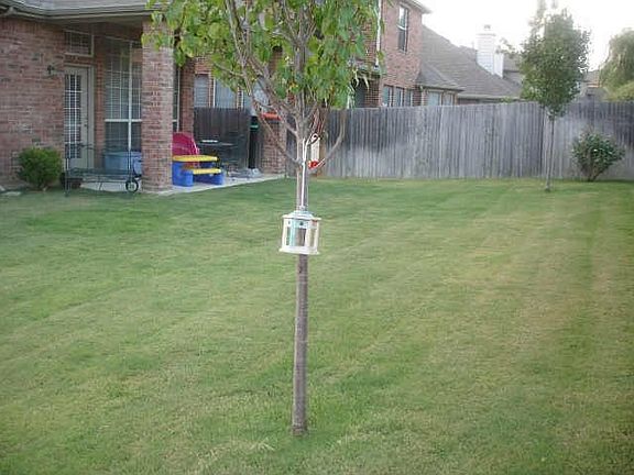 4th image of 9316 Granger Ln