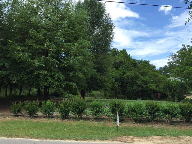 1st image of 215 Edgewood Dr