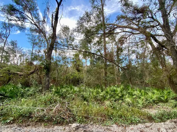 LOT 76 SW 74th Way, Jasper, FL 32052
