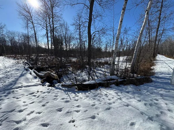 Hook Rd, Alger, MI 48610