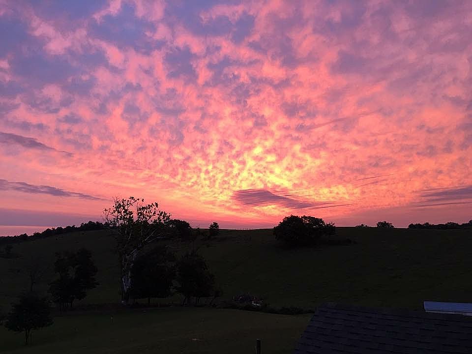 Morning view back of house