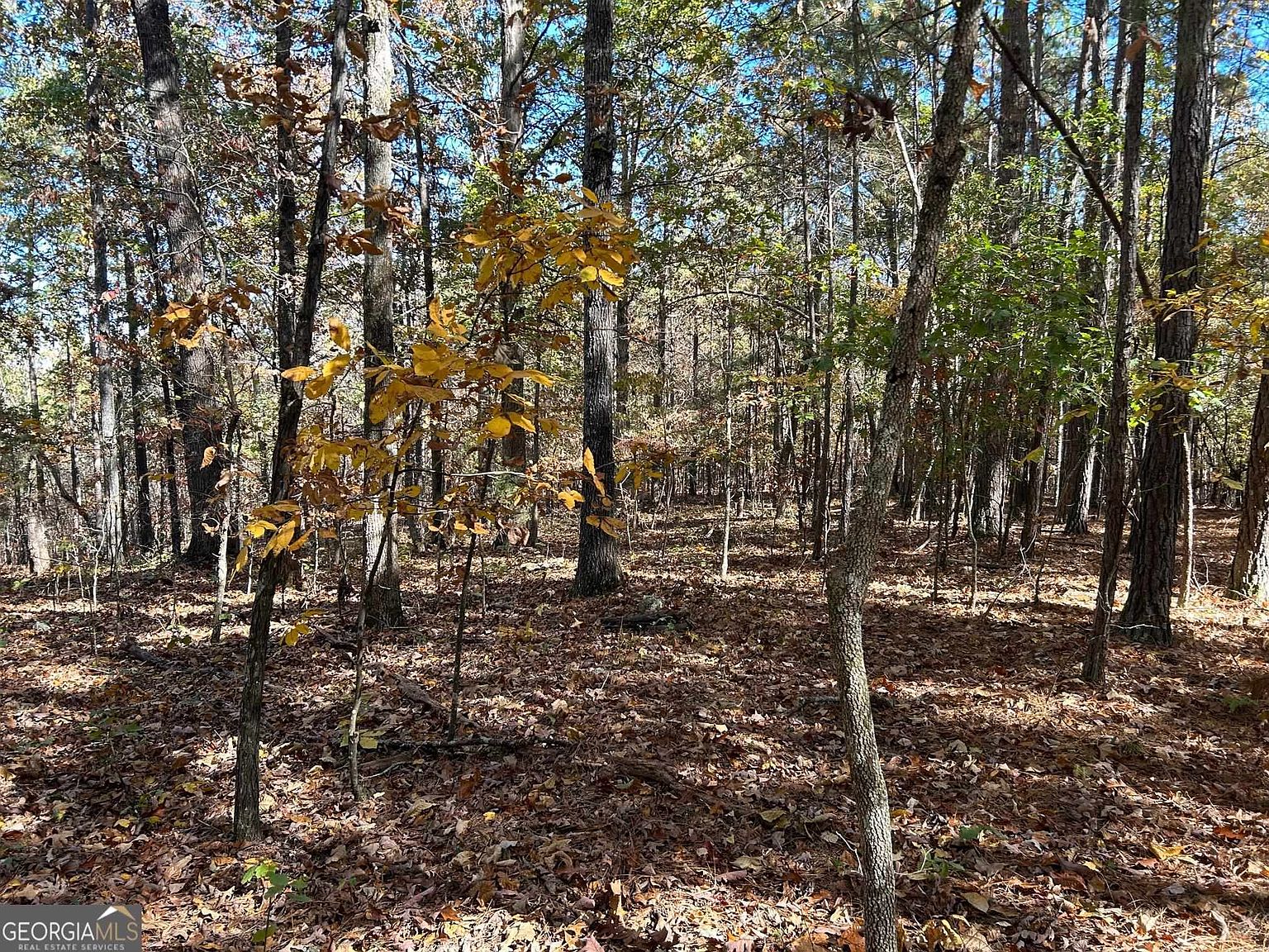 0 Wray Rd, Buchanan, GA 30113 MLS 10221285 Zillow