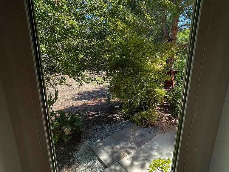 Window from Kitchen looking out towards open field.