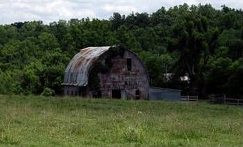 1st image of 994 Stroud Hollow Ln