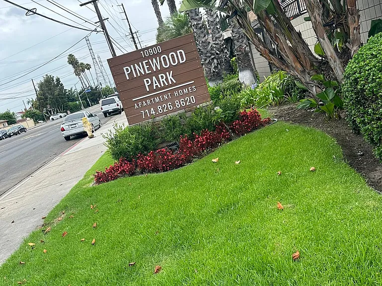 Pinewood Park Apartments — Photo 21