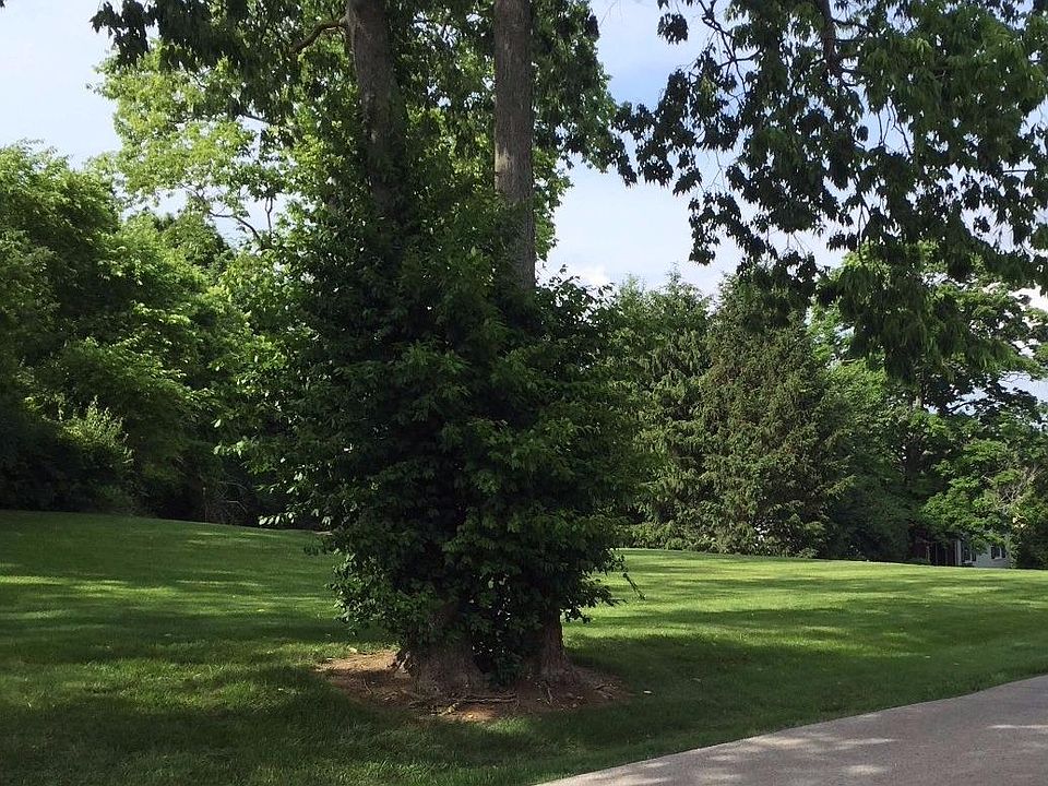 1st image of 113 Tanglewood Dr