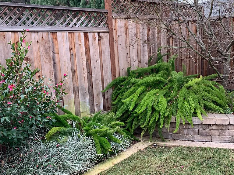 1115 Beaumont Dr — Photo 22