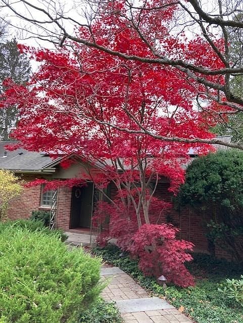 1st image of 518 Highland Rd