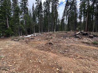 3035 Hidden Ct, Strawberry Valley, CA 95981