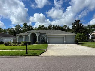 6908 Arabian Rd, Odessa, FL 33556