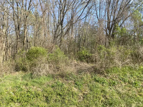 0 Mountain View Dr Lot 166, Morrison, TN 37357