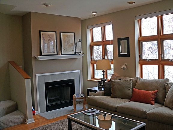 Living Room with Woodburning/Gas Fireplace