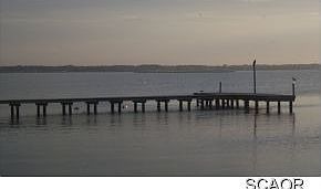 2nd image of 35192 South Dr #20583