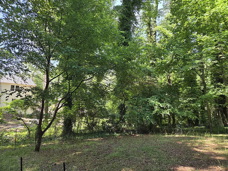 2902 Jordan Forest Trl — Photo 14