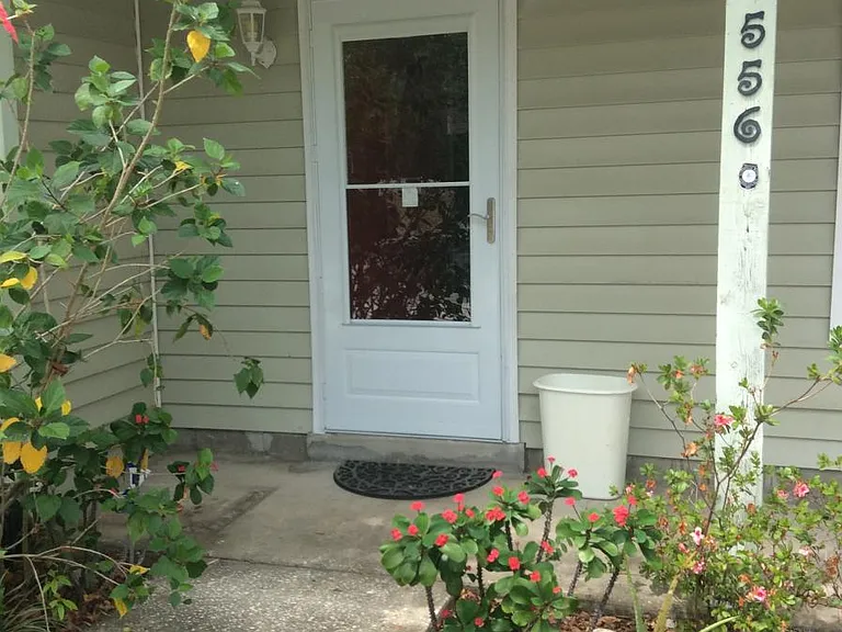 556 Green Spring Cir — Photo 29