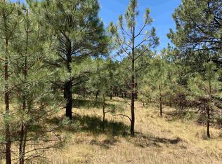 6 Copper Canyon Ct, Cloudcroft, NM 88317