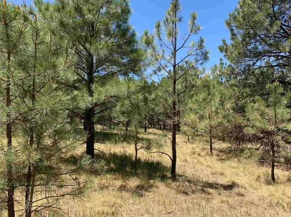 6 Copper Canyon Ct, Cloudcroft, NM 88317